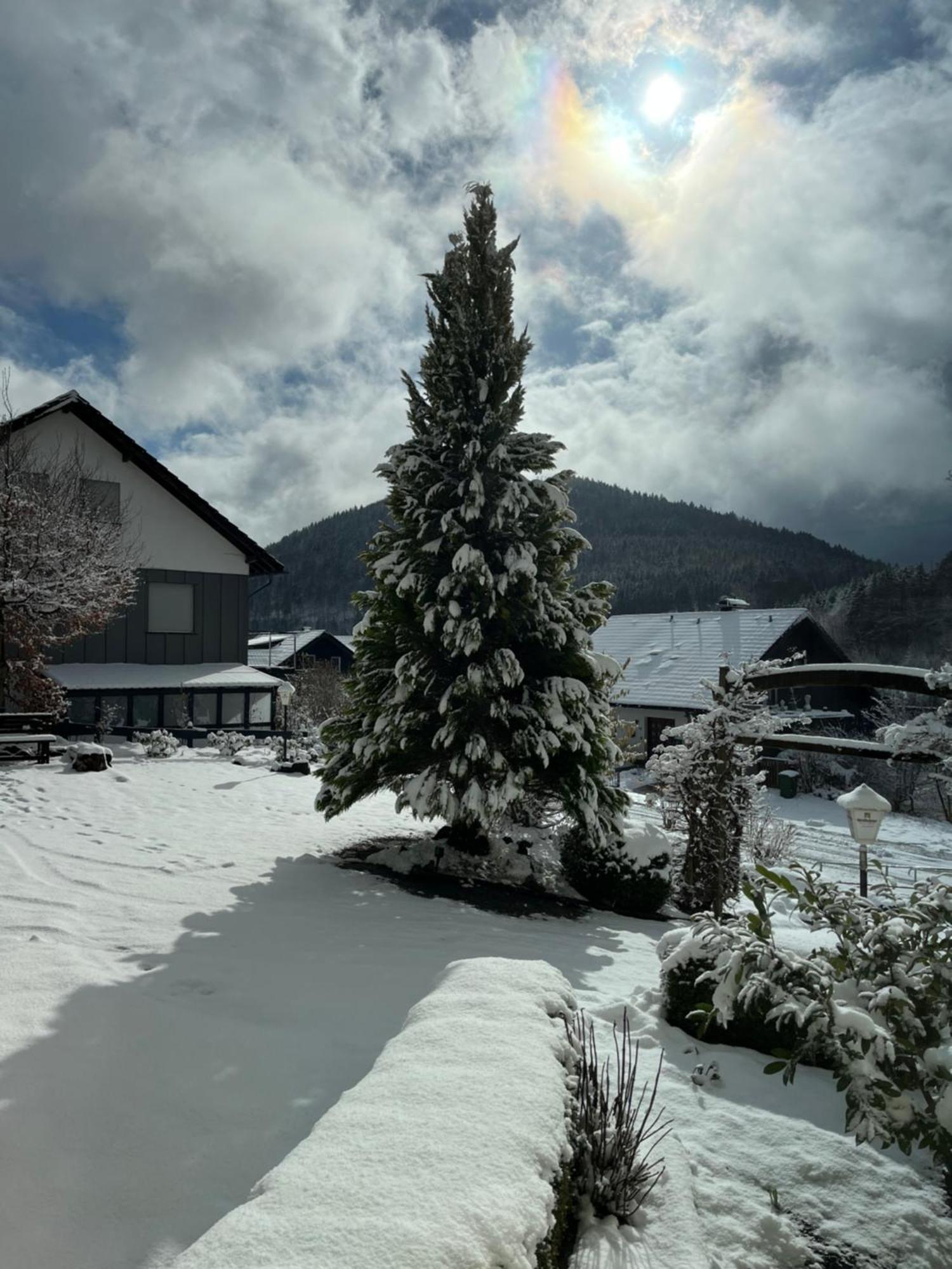 Casa Milix - Bed & Breakfast Bed & Breakfast Winterberg Exterior photo